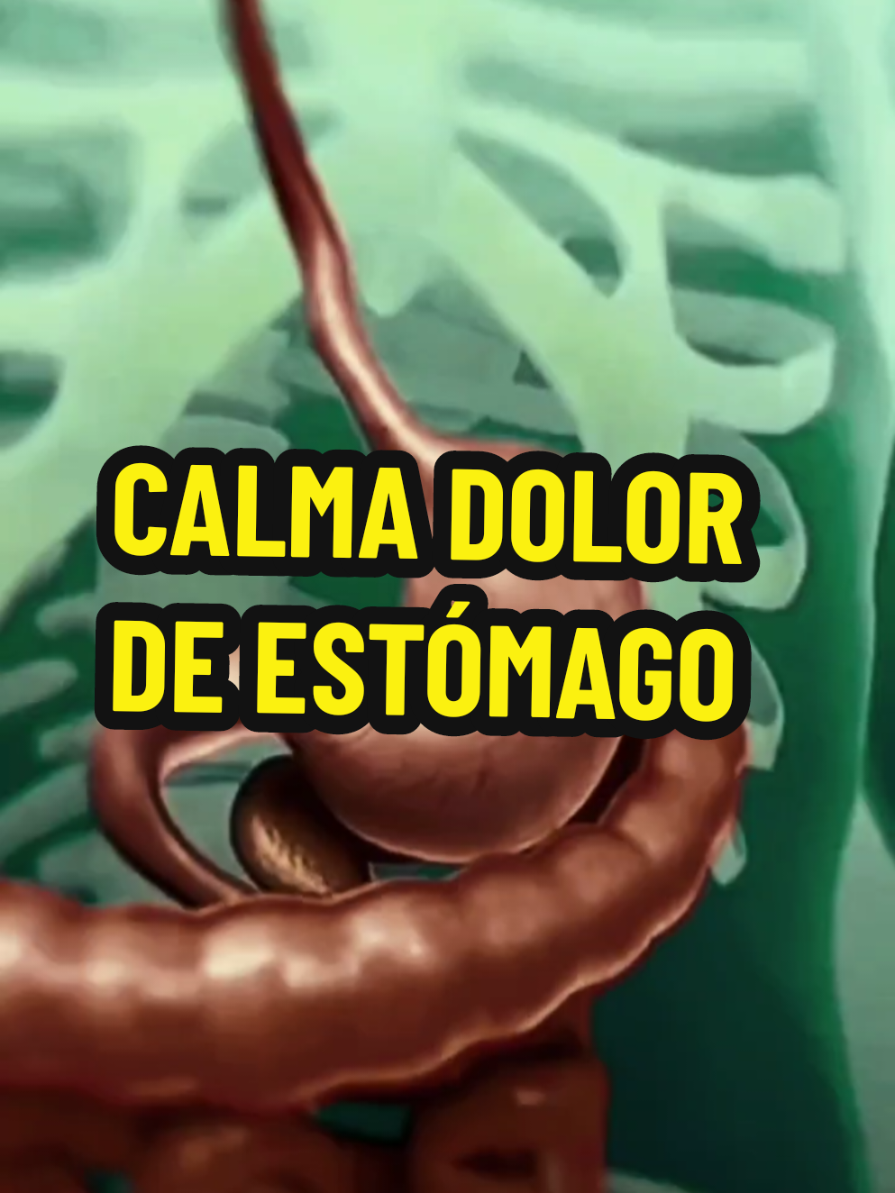 Frecuencia acoplada para el dolor de estómago. Apoyo vibratorio que relaja los nervios y reduce el dolor. #doctoraromero #frecuencias #frequency #stomach #estomago #dolor #pain #audio #sound #healing #healingtones #healthysound #medicine #solfeggio #digestivehealth #health #parati #fyp #viral 