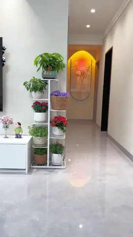 ชั้นวางกระถังต้นไม้ สำหรับตกแต่งบ้านและออฟฟิส ชั้นวางดอกไม้ สามารถใช้วางต้นไม้ได้หลากหลายชนิด #ชั่นวางกระถาง #ชั้นวางต้นไม้ #ชั้นวางกระถางต้นไม้ #ของใช้ในบ้าน #ของตกแต่งห้อง #ของตกแต่งบ้าน 