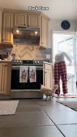 Duck core#funny #cute #foryou #funnyanimals #funnyvideos #core #duck 