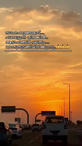 #onthisday #fyp #viral???tiktok #pravasimalayalitiktk #viraltiktok #viraltiktoks 