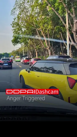 Would you stay calm or hit the horn? Either way—think safety first. #CaughtOnDDPAI #RoadSafety #DDPAIDashcam