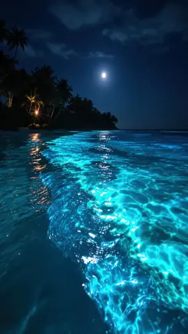 Peço que se curtirem compartilhe com os amigos, usem o Live Photo TikTok para usarem como papel de parede! #papeldeparede #livewallpaper #wallpaper #fullhd4k #4k