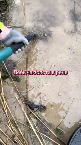 Добыча золота в песке