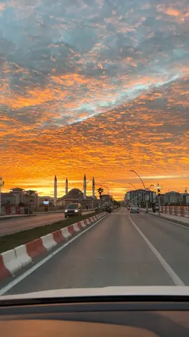 #ağrı 