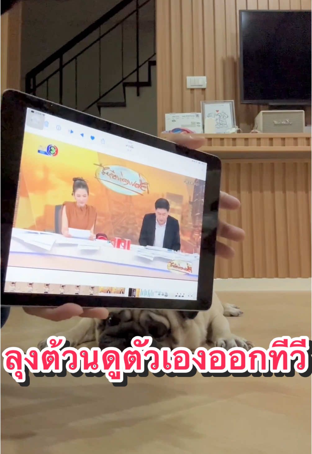 เมื่อลุงต้วนดูตัวเองในรายการ เรื่องเล่าเช้านี้ 😂😂😂 #เรื่องเล่าเช้านี้ #สวนสัตว์tiktok #ลุงต้วนหมาปัก #หมาพยักหน้า 