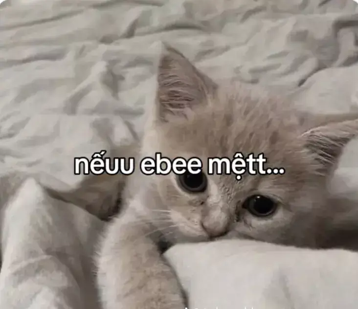 #xuhuong #fyp #tamtrang 