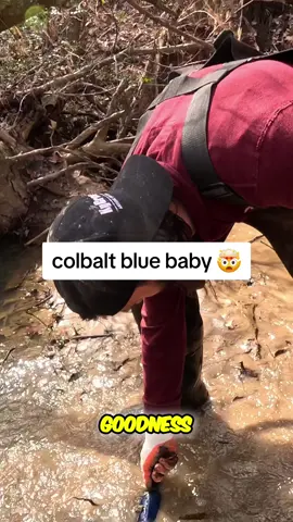 early 1900s bromo #History #antique #vintage 