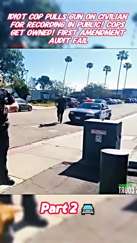 #fyp #cops 