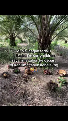 kalau bukan sekarang kalan lagi🤪🙏🏽#fypシ゚#kulisawit 