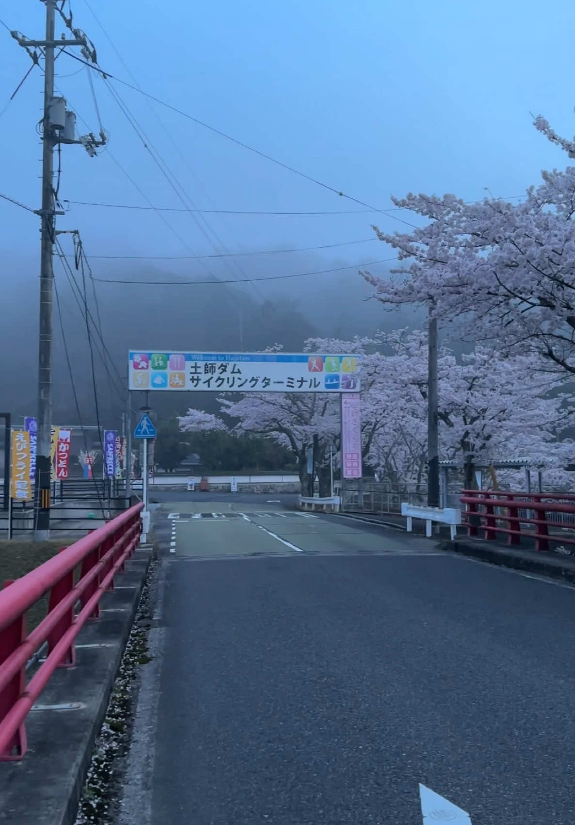 berasa masuk isekai😩🫠 #japan #sakura #somebodyspleasure 