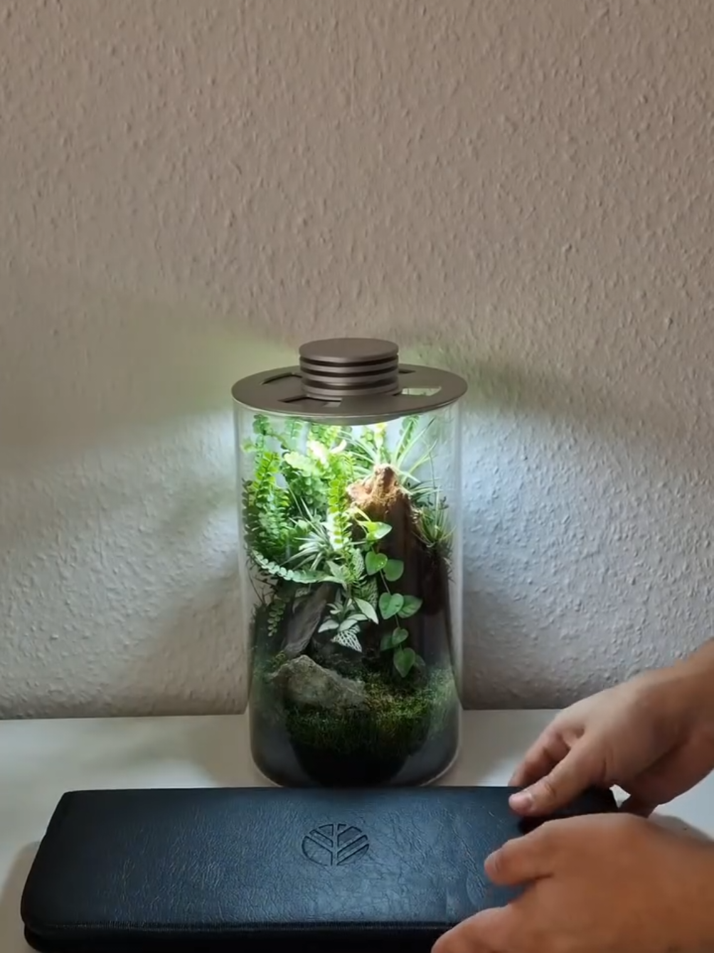 Definitely a nice unboxing experience.#erinnerung 