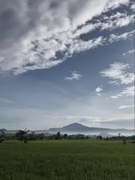 #CapCut #4u #foryoupage #galaubrutal 