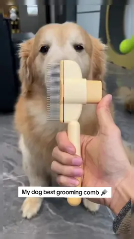#dogcomb #doghairremover #dogcomb 