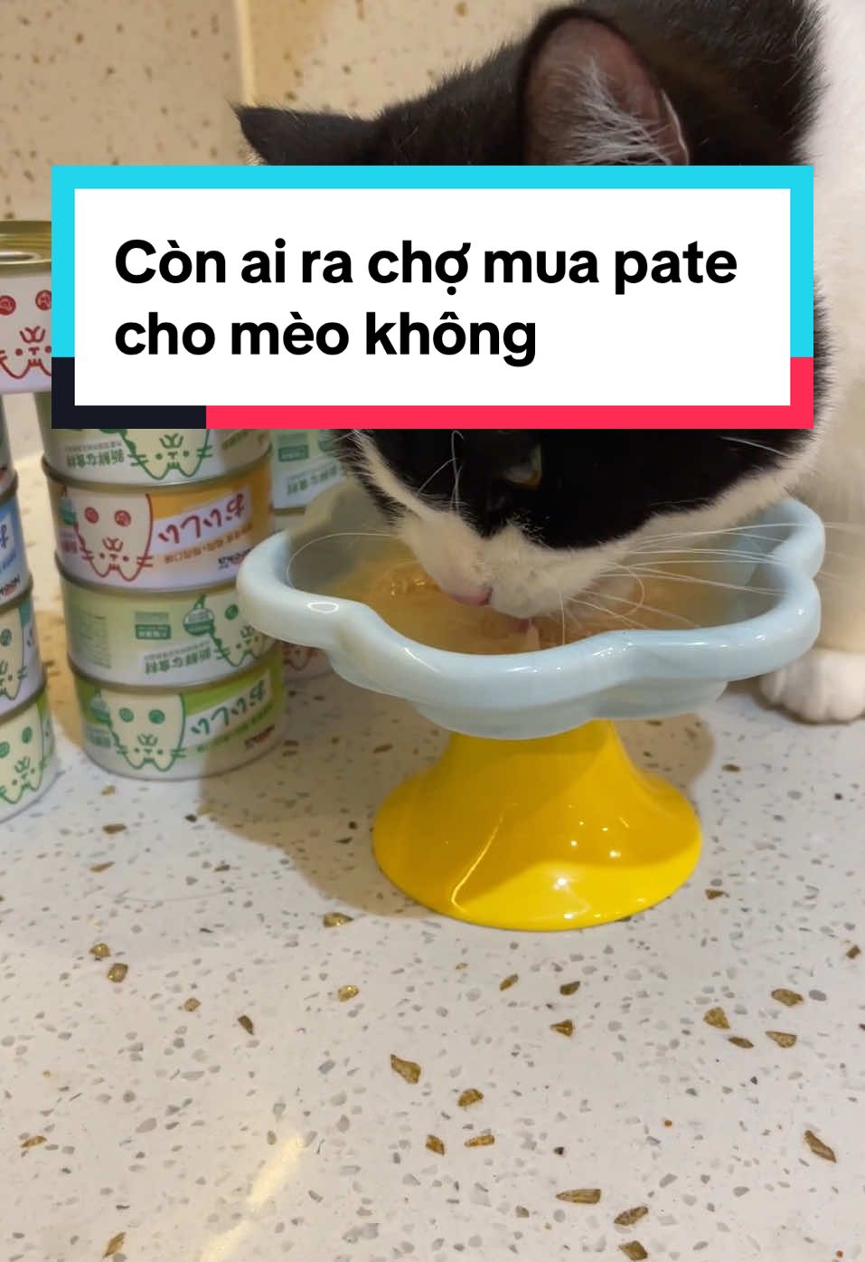 Còn ai ra chợ mua đồ về nấu pate không #meodethuong #patechomeo #petshop #meobeo #meodangyeu #meo #thucanchomeo #cutepet #xuhuongtiktok 