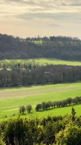 Northern Ireland Tales 🌿 #beauty #nature #aestheticvideos #naturesounds #fyp 