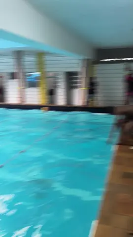 Meilleur plongeon selon vous  #natation #natation228 