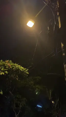 sing loro aku opo kowe