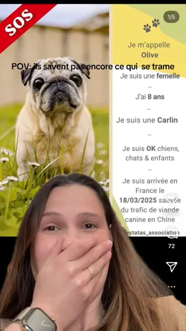 Mon coeur fond 🥹❤️❤️❤️