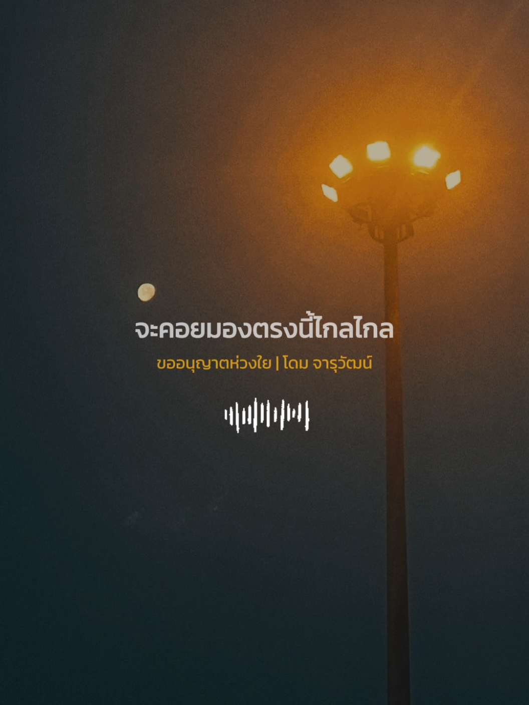 🎧 ขออนุญาตห่วงใย | โดม จารุวัฒน์ #🎧 #ฟีดดดシ #เทรนด์วันนี้ #เพลง #สตอรี่ความรู้สึก #เพลงเพราะ #fyp #เพลงลงสตอรี่ #เนื้อเพลง #ท่อนนี้โดน #เพลงเศร้า #ฟังเพลง 