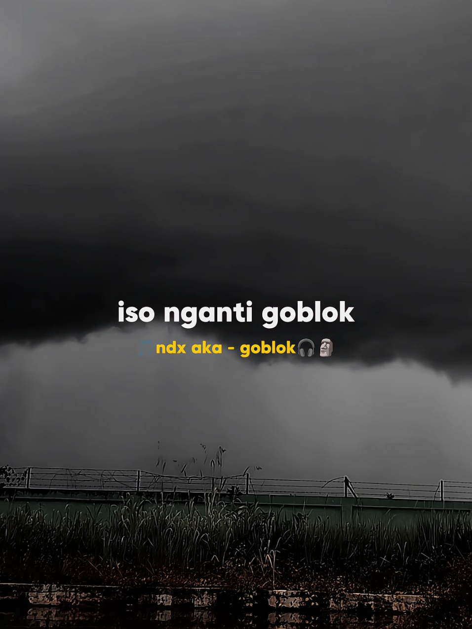 🎵ndx aka - goblok🎧🗿🗿🗿 #ndx #ndxaka #ndxakafamilia #pjrmicrophone #lirikndxaka #liriklagu 