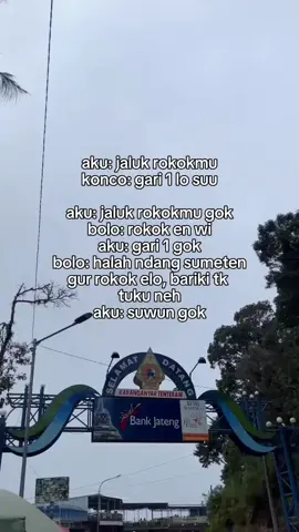 teko kene wes ngerti seng konco seng ndi😭#xybca 