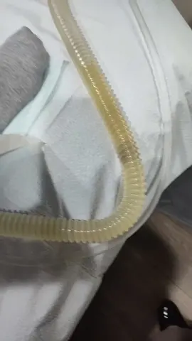 when getting a colonic, you don't have to do anything but lay there and relax! the machine and your colon does all the work! Come see me at The Well Of Life Center! #colonhealthisimportant #colonhealthmatters #colonic #colonirrigation #internalcleanse #microbiome #digestivehealth #guthealthmatters 