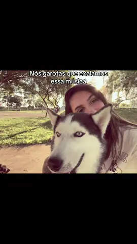 #fy #vaiprofycaramba #vaiprofy #fy #vaiprofycaramba #vaiprofy #fy #vaiprofycaramba 