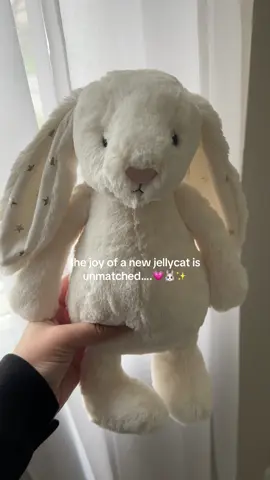 she is so precious I could cry… bows coming soon 🥹💗 @Jellycat #jellycat #jellycats #jellycatcollection #jellycatcollector #jellycatlondon #jellycatbunny 