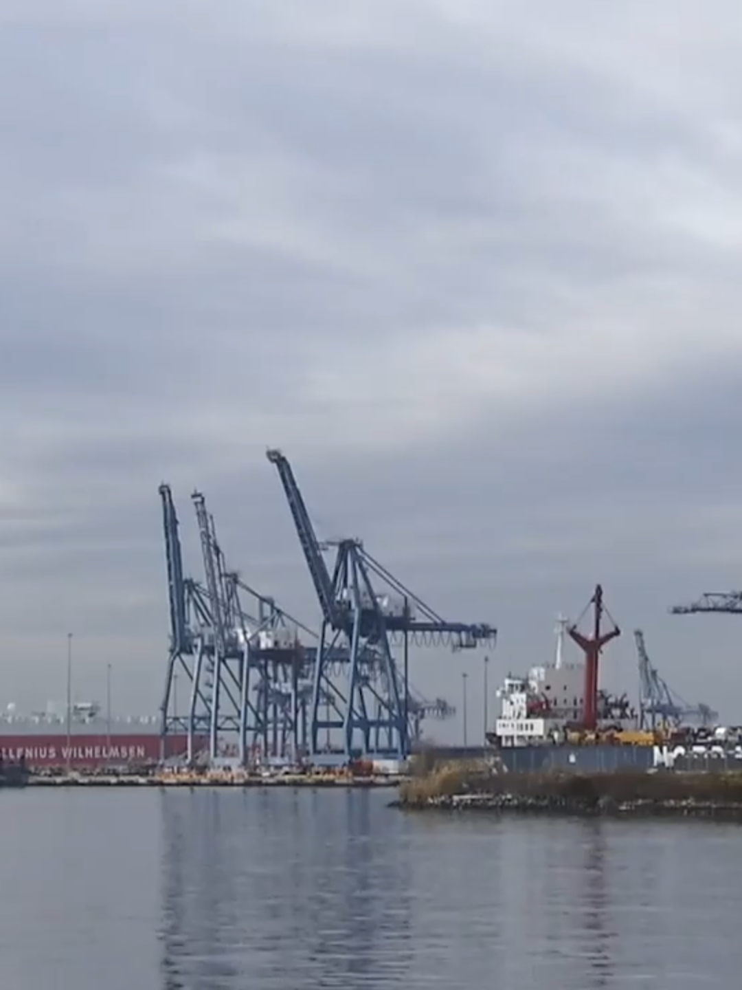 Tariffs toll a lose-lose economic gamble