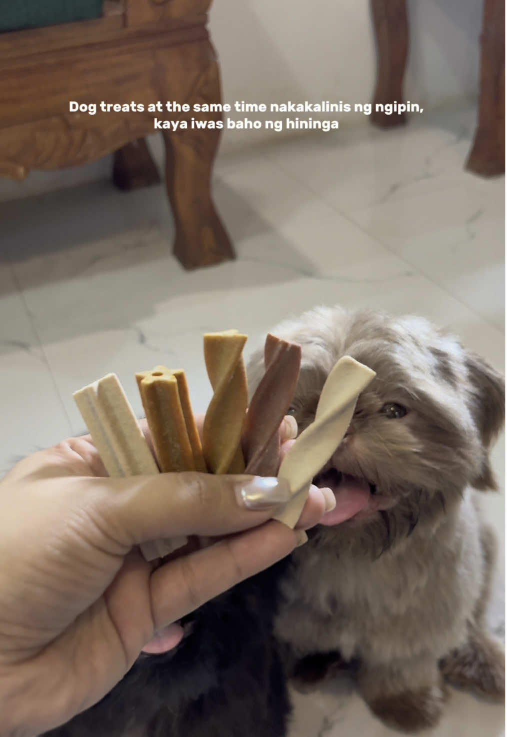 Iwas sira ng ipin ng ating alaga#dogtreats#dogdentalcare#dogdentastix 