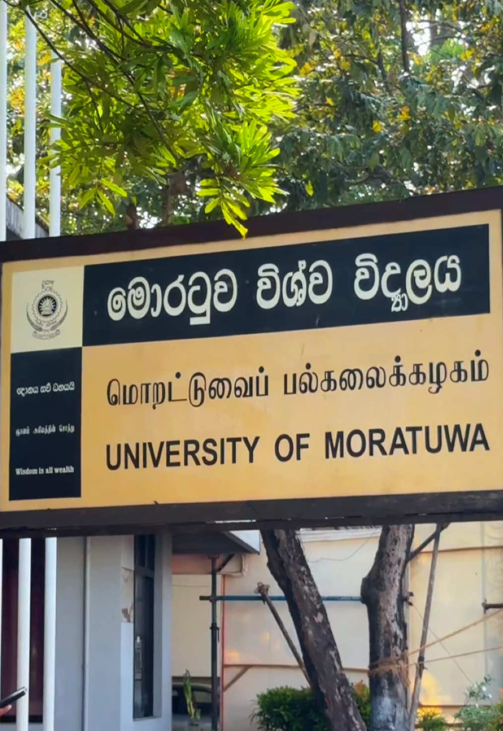 University of moratuwa! 💛 #universityofmoratuwa #university #srilanka #uom #srilankan_tik_tok🇱🇰 #moratuwa #uom #unilife #moratuwauniversity #fyp #fypage #travel #fyp 