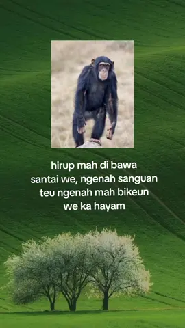 bagian 129 | 😁 #storysunda #fouryou #fyppppppppppppppppppppppp #quotes #capruk 