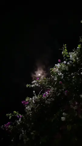 I miss not knowing why the moon followed me..!🙃🥀🌗#fyp #foryou #foryoupage #night #moon #view #vocals #fuadhasanarafat #withoutmusic #tiktok #bangladesh 