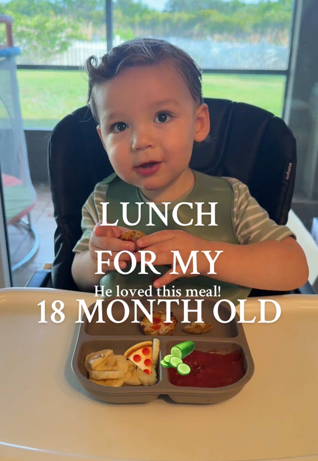 Lunch for my 18 month old 🍕🥒 #babyledweaning #babyledweaningideas #babyfoodideas #babyfood #babytok #babytiktok #momlife #motherhood #firsttimemom #sahm #sahmlife #18monthsold #babiesoftiktok #motherhoodjourney #blwideas #MomsofTikTok #babiesoftiktok #toddlersoftiktok  #toddlerfoodideas 