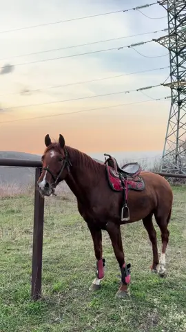 #рек 