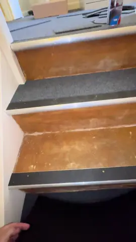 Mozart evo making light work of carpet tiles @mozart_blades @Salesmark West spray glue #flooringinstaller #asmr #dorsetdagger 