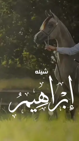 #شيلة باسم ابراهيم 2025 شيله مدح ابراهيم - اداء فهد العيباني #شيلة_ابراهيم #شيلة_مدح_ابراهيم 