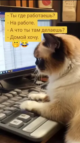 у кого так же на работе? не успел прийти, а уже хочется домой🤣🤣🤣 #юмор #пятница #работа #fyp #доброеутро #хорошегонастроения #смех #fannyvideo #смешноевидео #наработе #нехочуработать #психология #кот 