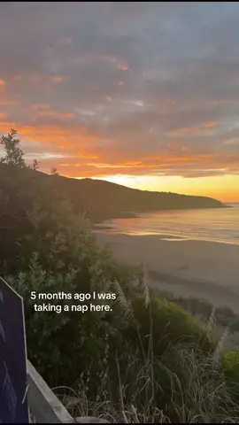 #raglandnewzealand #newzeland #beach #nap #sunset #beachsunset #surf