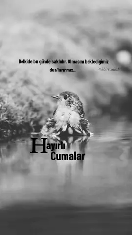 #inşaallah #tekbirr_allah #☝️🤲🤲🤲 #cumamesajları #cumavideoları #cuma 