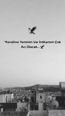 S T O R Y L İ K 🦅 #fyp #storylikvideolar📌 #trending 