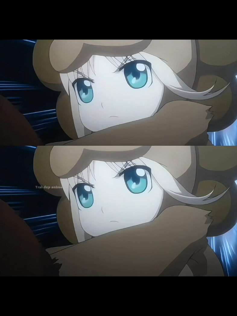 Saber Lion - King of The Wild #saber #saberlion #lancerfate #traidepanimegil #carnivalphantasm #sabercute 