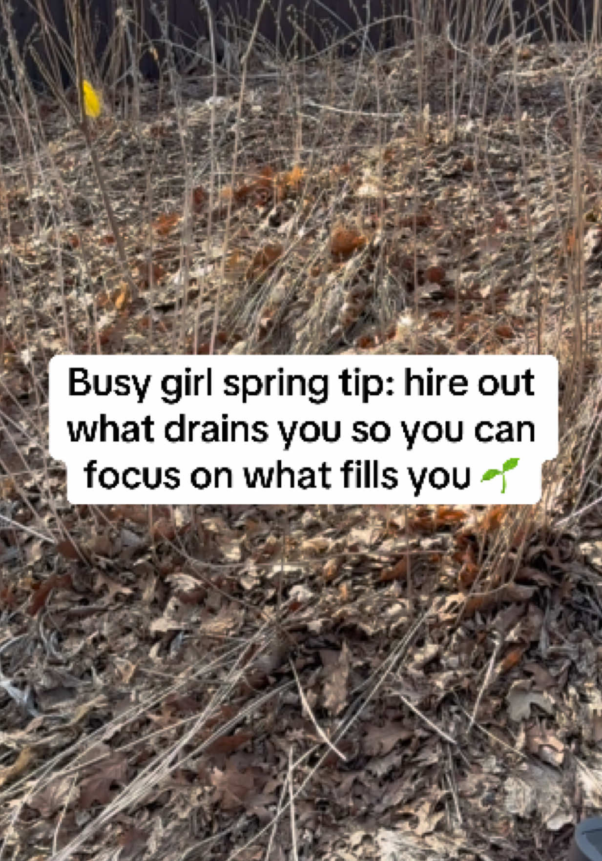 If in MINNY, call @edina.service.pro for any home tasks you need, thank me later #mn #minnesota #mnhomes #winter #springcleaning 