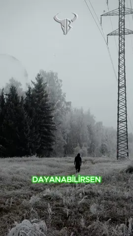 Her fırtına diner, her gece sabaha varır. Yeter ki vazgeçme. Dayanırsan, sadece ayakta kalmazsın zafere yürürsün. Çünkü gerçek başarı, en çok vazgeçmeyenlerin hakkıdır. #gelişim #maskülenerkek #motivasyon #kişiselgelişim #gelecek #beyefendi #maskülen #zafer 