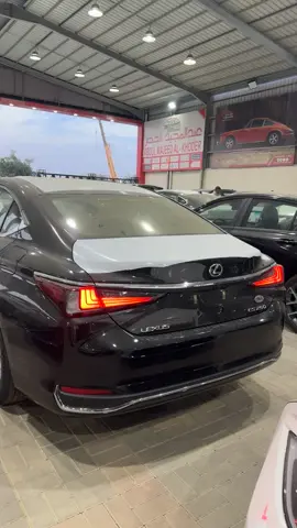 #explore #الشعب_الصيني_ماله_حل😂😂 #explorepage #ترند_تيك_توك 