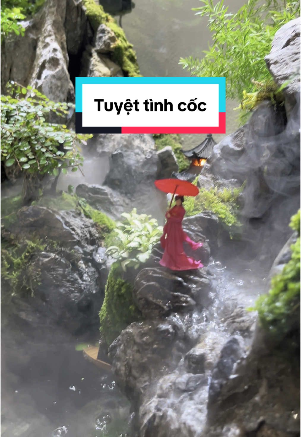 Tuyệt tình cốc #ngocaquadesign #tuyettinhcoc #tieucanh #kera #paludarium #terrarium #aquarium 