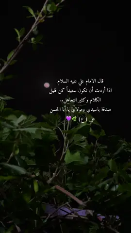 #الشيخ_علي_المياحي #في_مرحلة_من_العمر_ستمر_بشئ_يسمى_الوعي_ #اكسبلور #explore #foryou#f