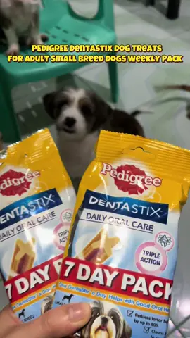 PEDIGREE DentaStix Dog Treats for Adult Small Breed Dogs Weekly Pack #dentastix #pedigree #pedigreedentastix #dogtreats #rewardtreats #dentalhealth #dailyoralcare @Pedigree & Whiskas PH 