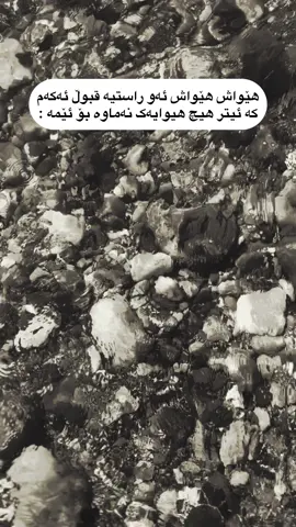 هيواش هيواش #foryou #iraq_bd #erbil #folome #actives?🥺💔 