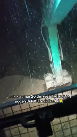 😞#cat #CapCut #viraltiktok 